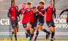 爱游戏竞技-热那亚逆转胜帕尔马，取得宝贵分的简单介绍