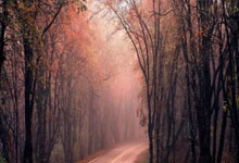 爱游戏官网app-鹿岛鹿角外援训练成果显著，力拼强队