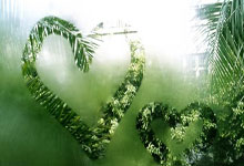 爱游戏在线-上海申花客场逼平墨尔本胜利，晋级亚冠16强，上海申花最新比赛