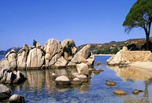 爱游戏网址-利物浦挑战蒙特雷，南美德比激烈升级