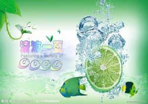 波兰队憾失点球，止步欧锦赛八强